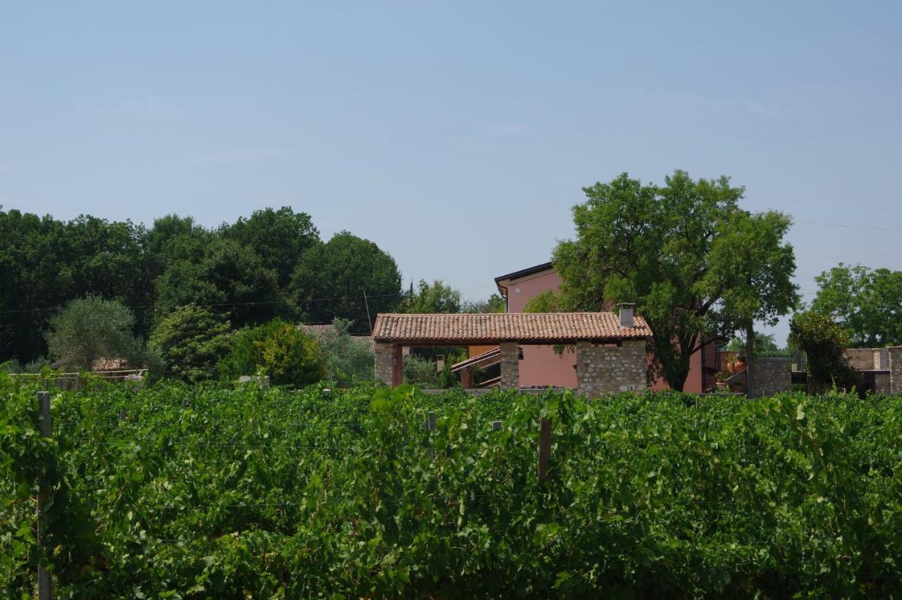Agriturismo La Casa Del Mandorlo Monzambano Extérieur photo